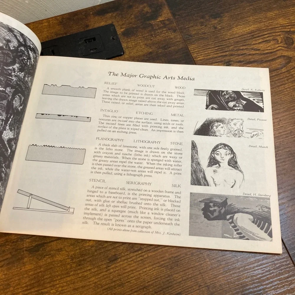 Harry Sternberg Woodcut Pitman 40 Art Book 1962 Vintage Printmaking Guide